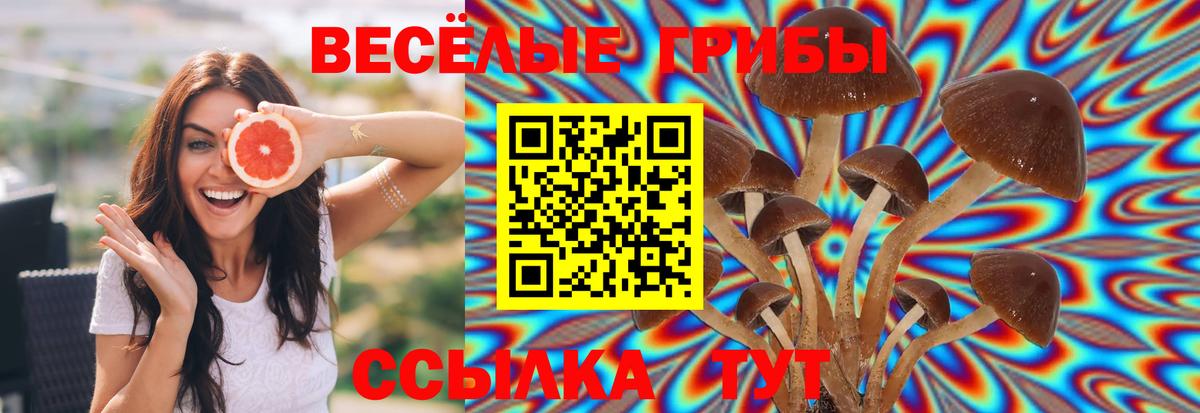 Псилоцибиновые грибы Psilocybine cubensis Рыбинск